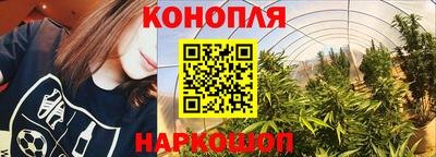 гашик Рыбинск