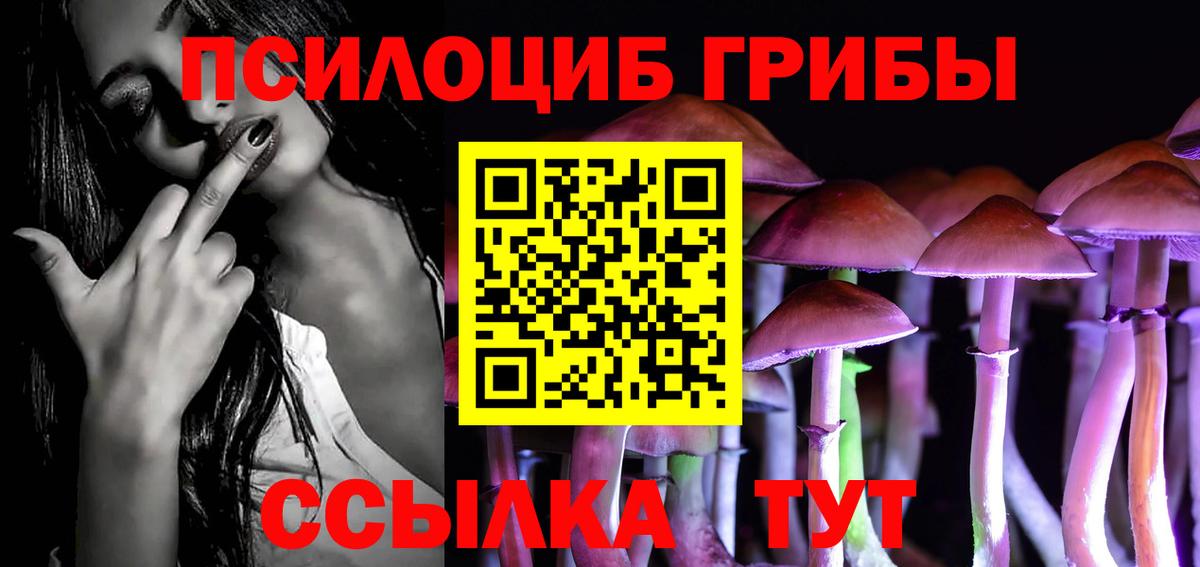 Псилоцибиновые грибы Magic Shrooms Россия