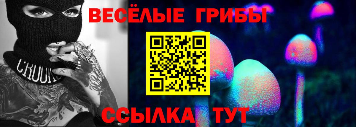 Россия  Галлюциногенные грибы MAGIC MUSHROOMS  Вход с VPN 